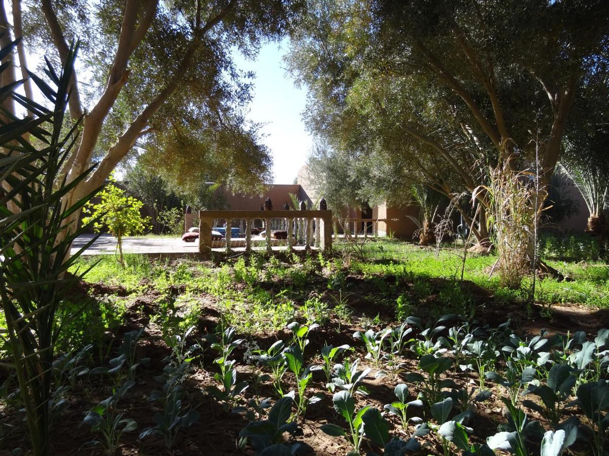 Hamada Du Draa Bed & Breakfast มามิด ภายนอก รูปภาพ